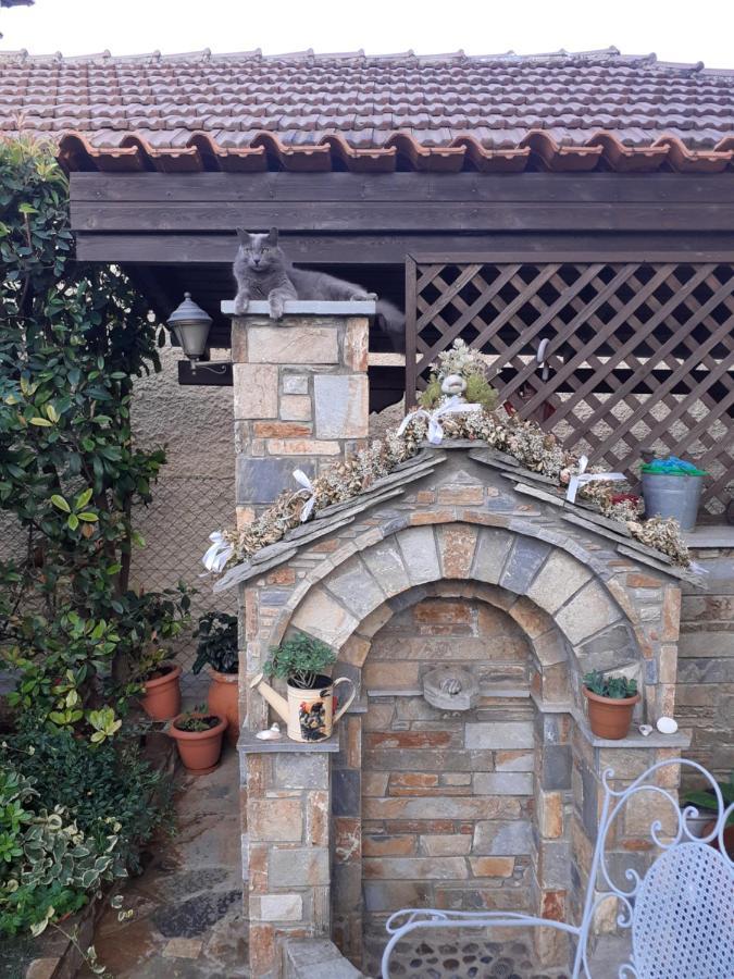 Traditional Maisonette In Pelion 沃洛斯 外观 照片